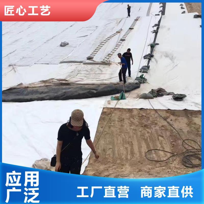 三维复合排水网_凸结点钢塑土工格栅值得信赖