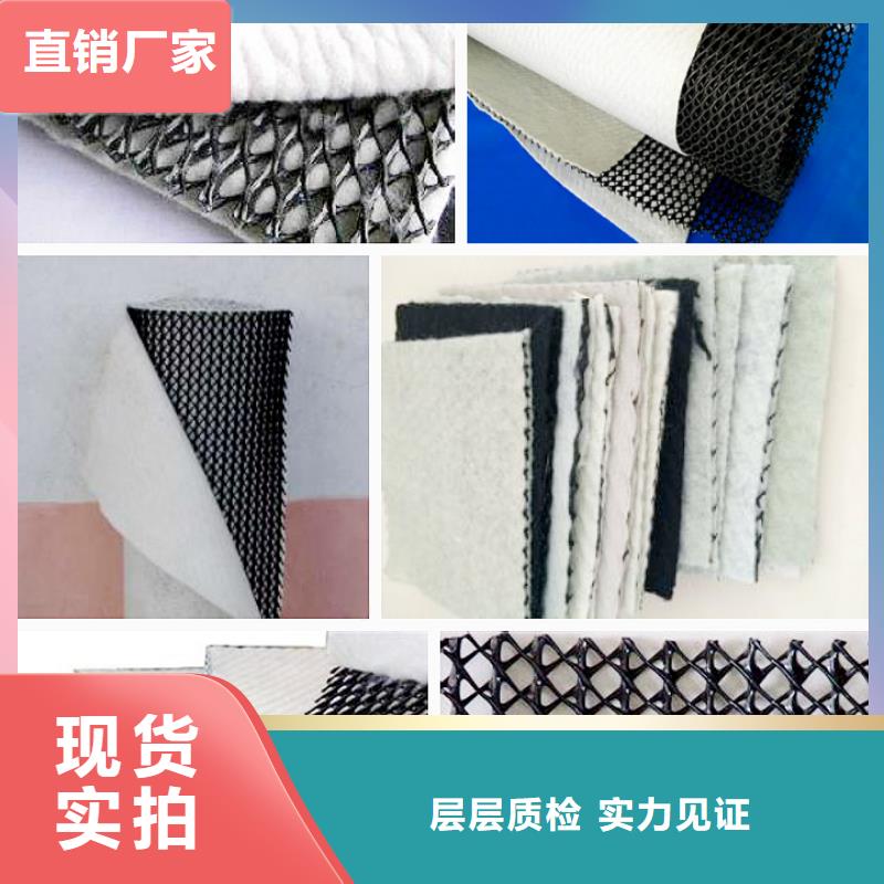 【三维复合排水网长丝土工布专注产品质量与服务】