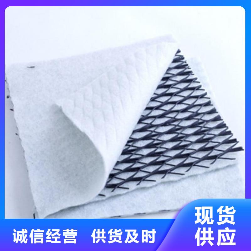 铜川(当地)三维复合排水网凸结点钢塑土工格栅源头实体厂商