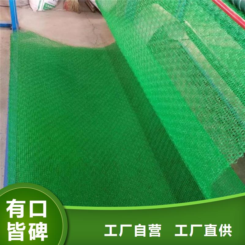 三维植被网【膨润土防水垫】品质保证实力见证