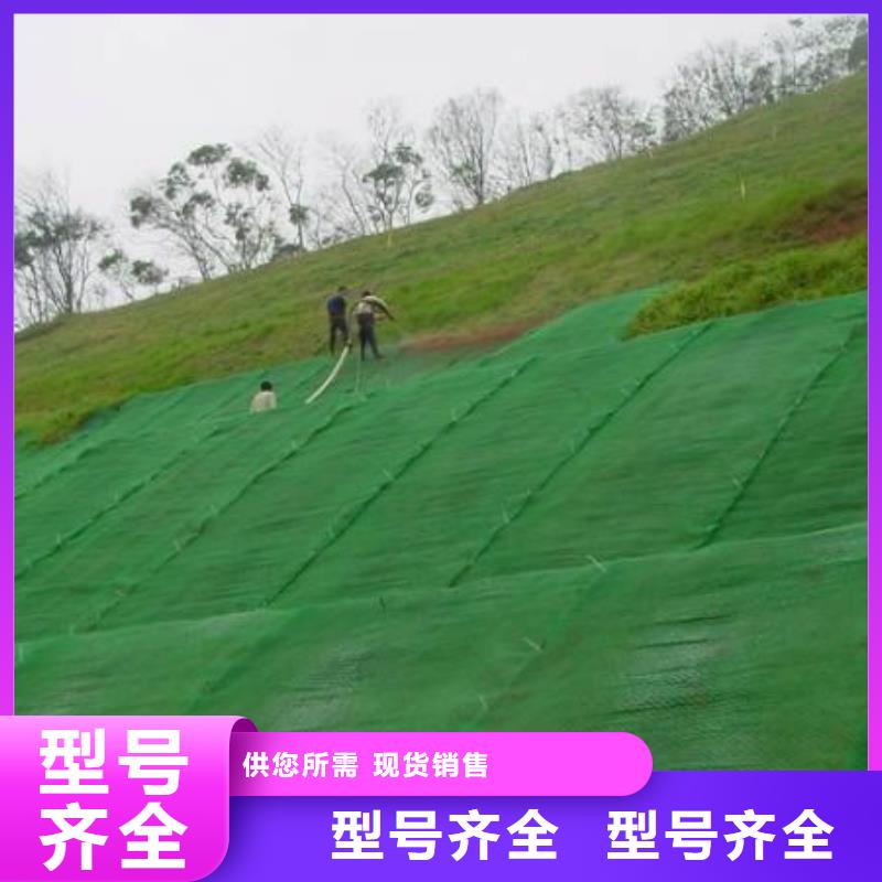 三维植被网【膨润土防水垫】品质保证实力见证