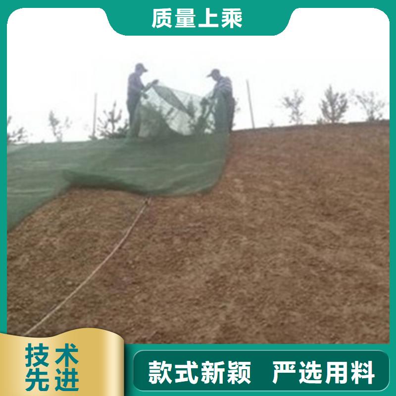 三维植被网,单向塑料格栅工厂批发