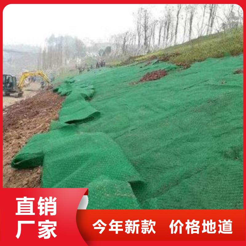 三维植被网_双向塑料土工格栅当地货源