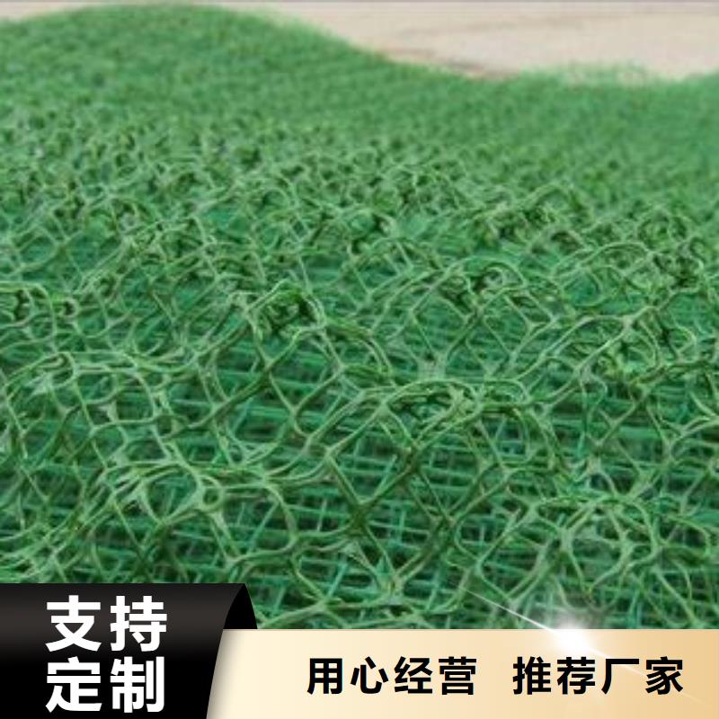 三维植被网膨润土防水垫高质量高信誉