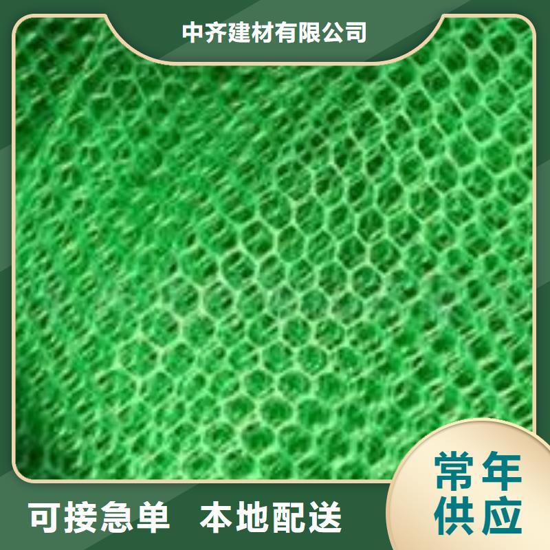 三维植被网三维土工网垫用好材做好产品