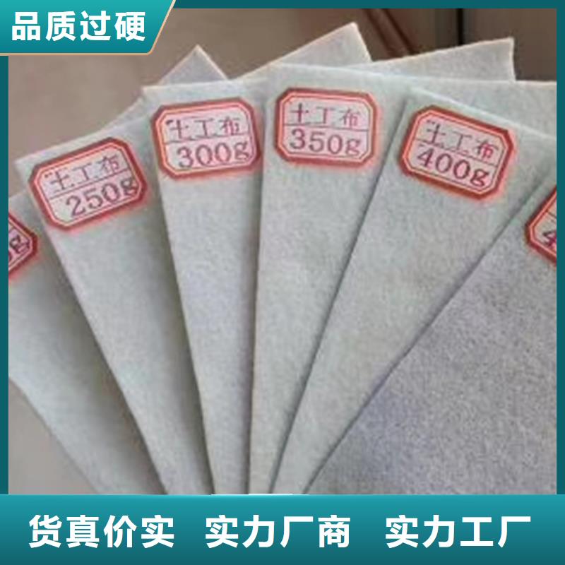 土工布【双向塑料土工格栅】量大从优