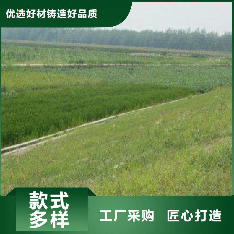 【三维植被网】钢塑土工格栅好产品有口碑