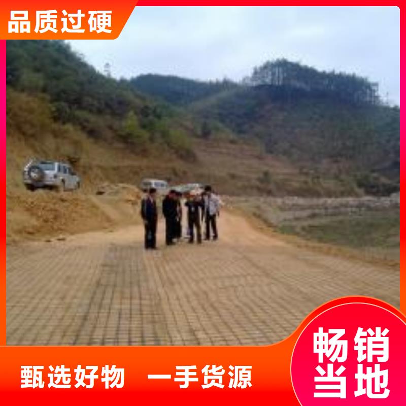 钢塑土工格栅,三维植被网厂家支持批发零售