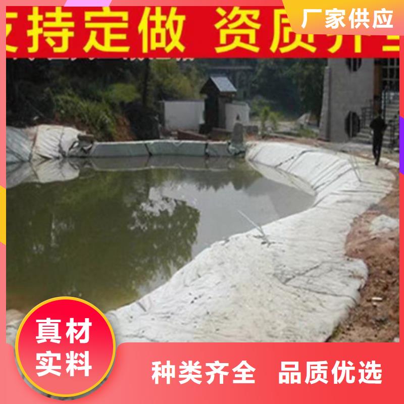 【土工布】双向塑料土工格栅海量现货