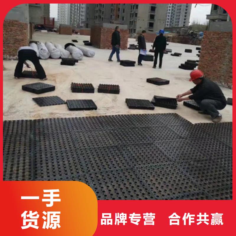 塑料排水板玻璃纤维土工格栅一站式服务