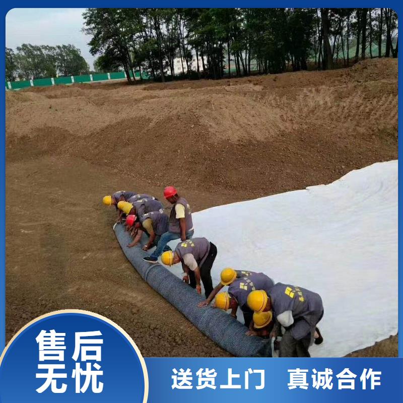 防水毯-钢塑土工格栅厂家工厂批发