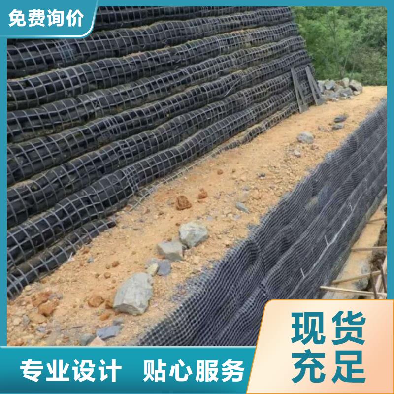 土工格栅凸结点钢塑土工格栅采购无忧