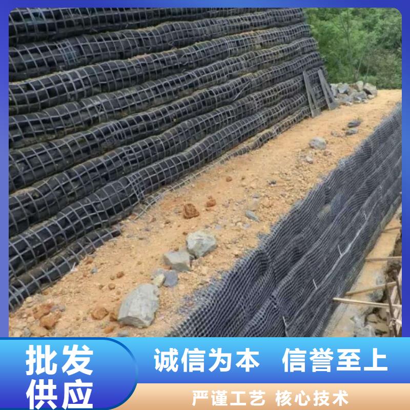 土工格栅单向塑料土工格栅24小时下单发货