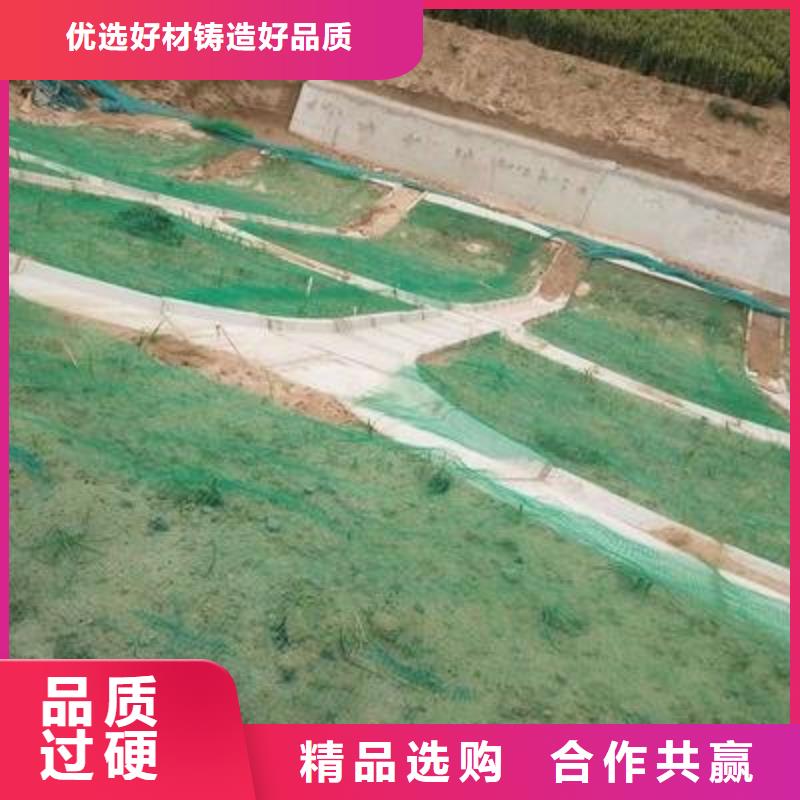 三维植被网-塑料排水板安心购