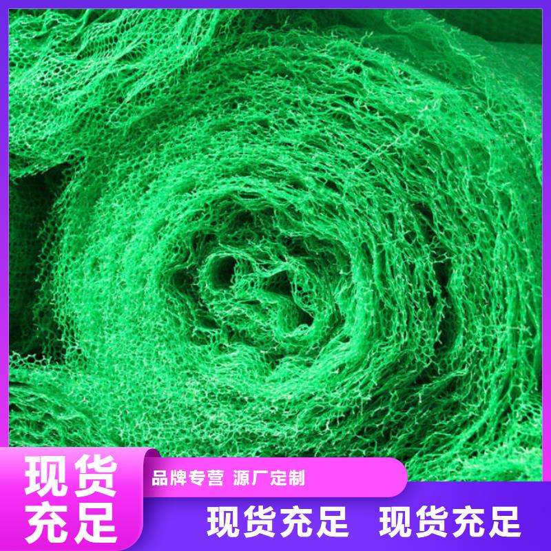 三维植被网【玻纤土工格栅】您身边的厂家