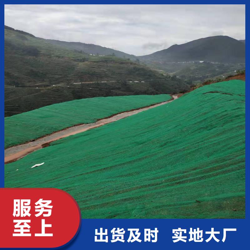 三维植被网双向塑料土工格栅真材实料诚信经营