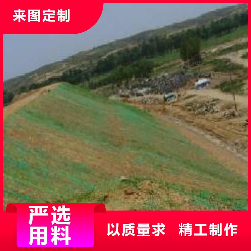 【三维植被网】-膨润土防水毯好品质售后无忧