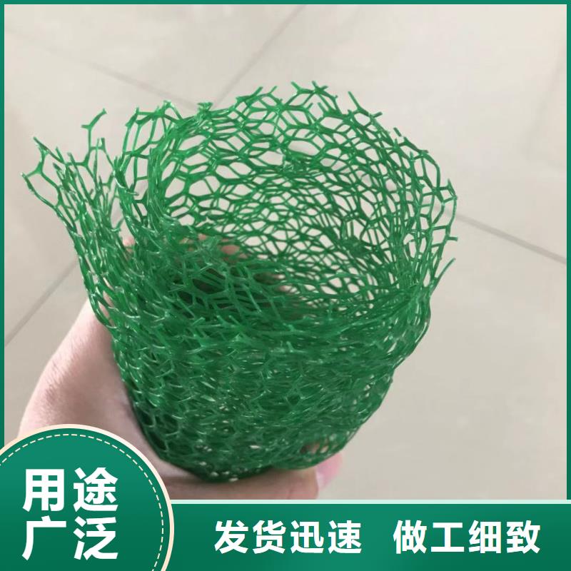 三维植被网【聚丙烯双拉土工格栅】推荐厂家