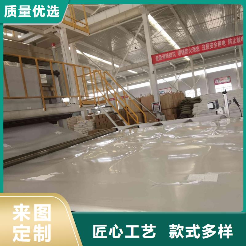 EVA防水板单向塑料土工格栅行业优选