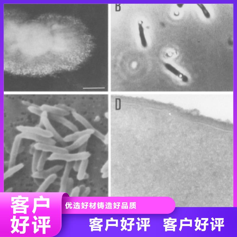 培养菌种碳源供应