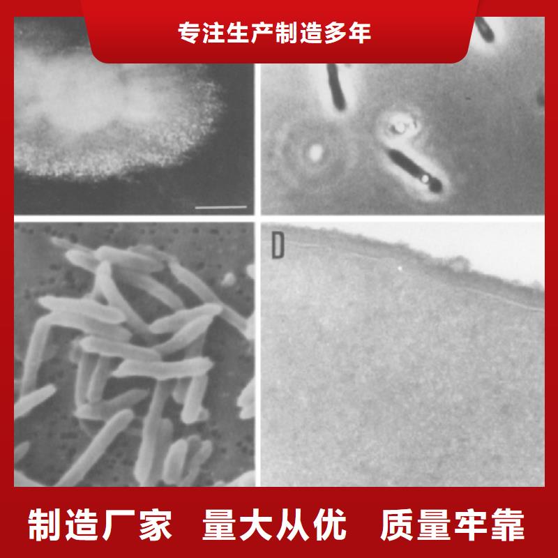 培养菌种碳源定制