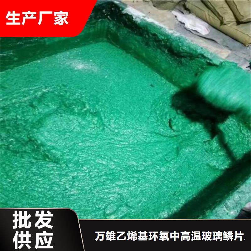 玻璃鳞片胶泥,【乙烯基玻璃鳞片胶泥】实体诚信厂家