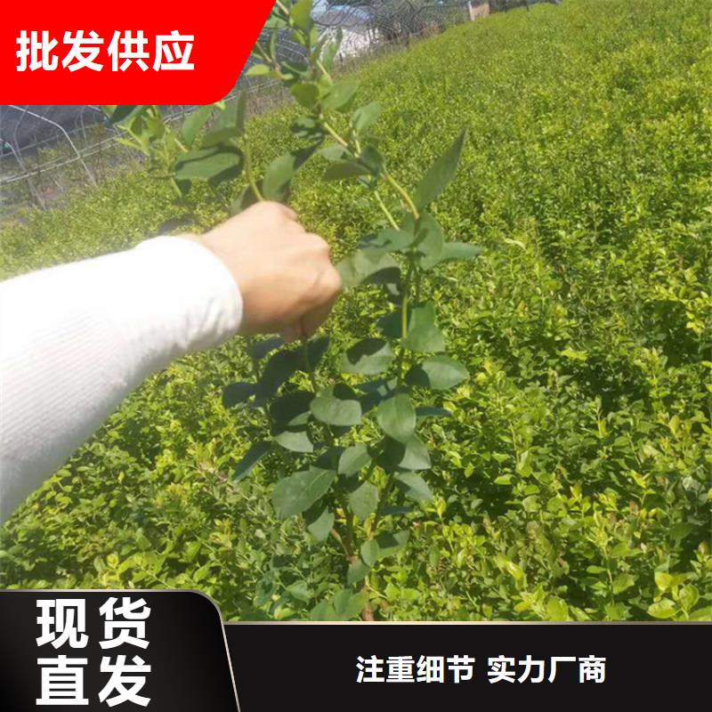 益阳聚合硫酸铁厂家直营
