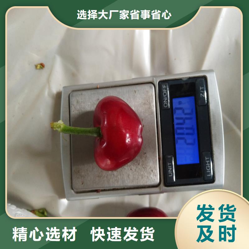益阳聚合硫酸铁厂家直营