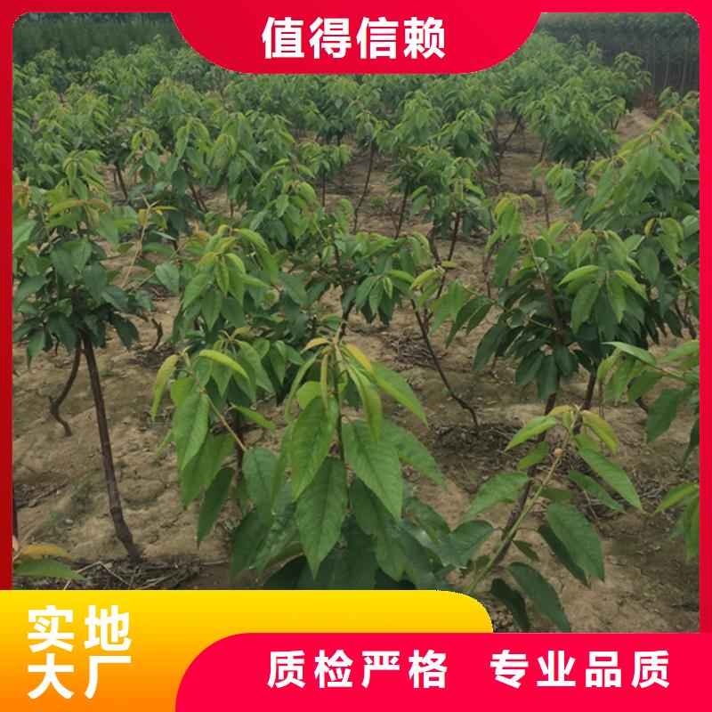 益阳聚合硫酸铁厂家直营