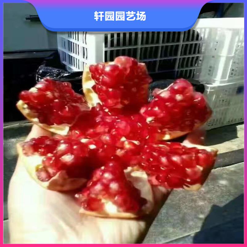 信阳工业级固体聚合硫酸铁诚信经营现货现发