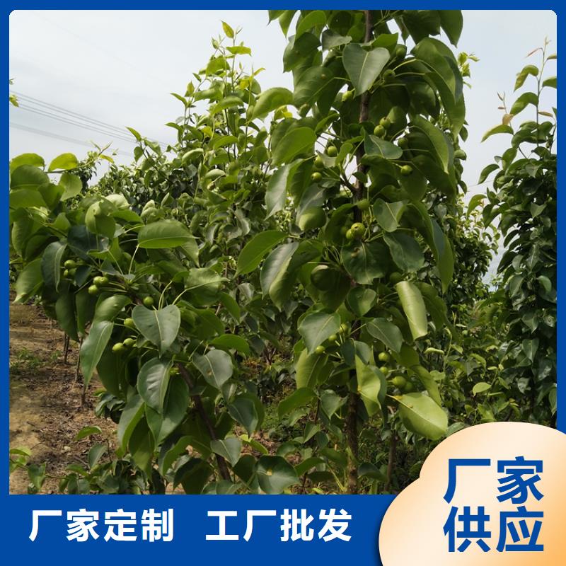 益阳聚合硫酸铁厂家直营