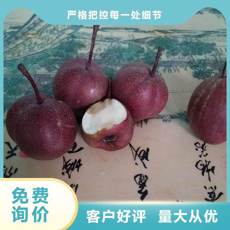 榆林SPFS按需真材实料