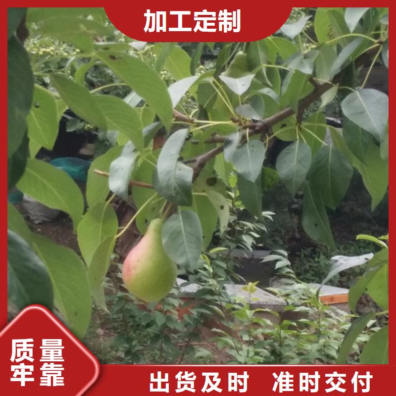 榆林SPFS按需真材实料