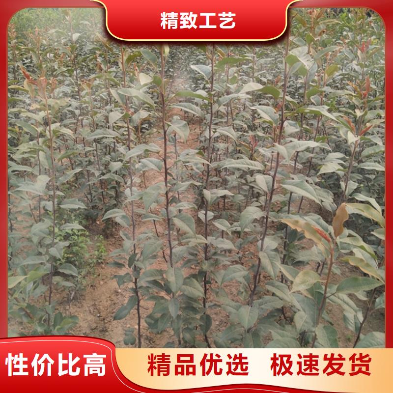 榆林SPFS按需真材实料