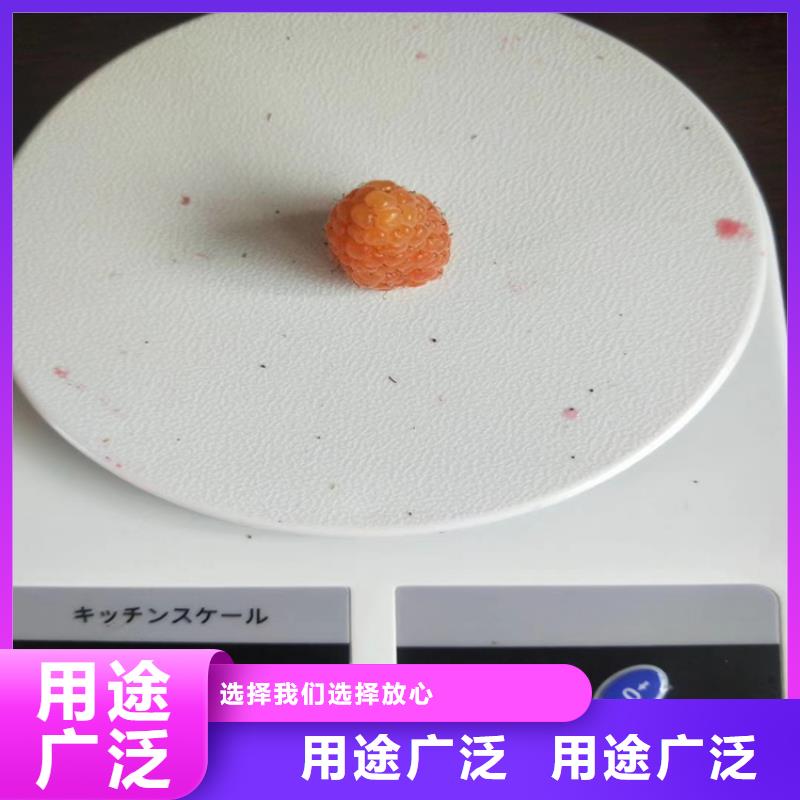 【树莓蓝莓苗细节严格凸显品质】