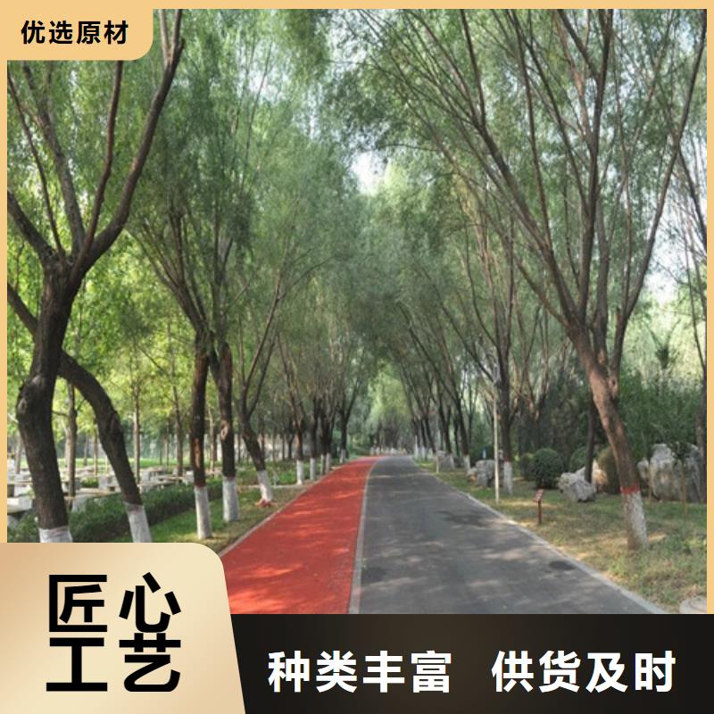 健身步道塑胶跑道真诚合作