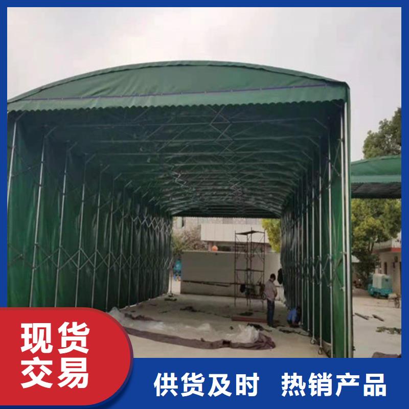 雨蓬今日价格