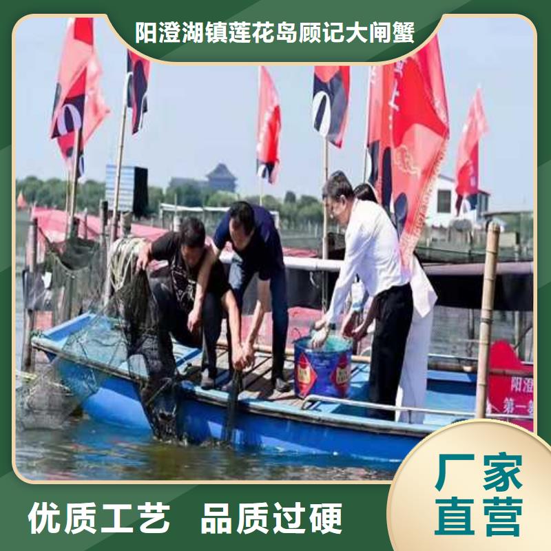 去正宗阳澄湖大闸蟹哪家正宗在苏州阳澄湖