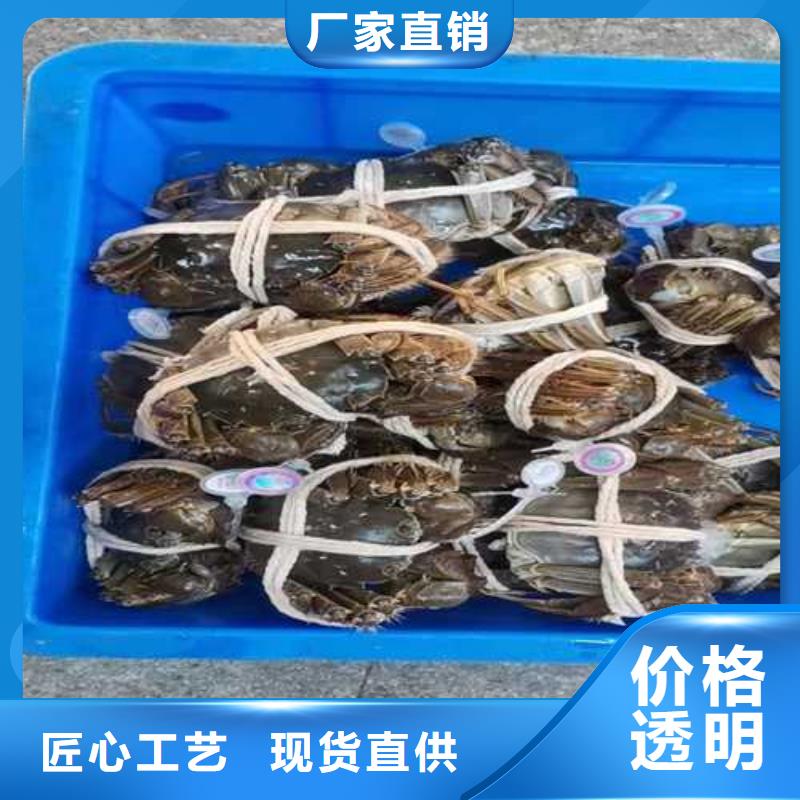 阳澄湖买大闸蟹哪家好阳澄湖吃大闸蟹农家乐