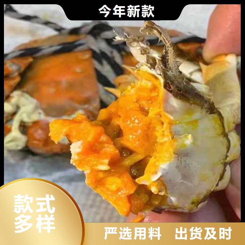 阳澄湖大闸蟹哪家正宗