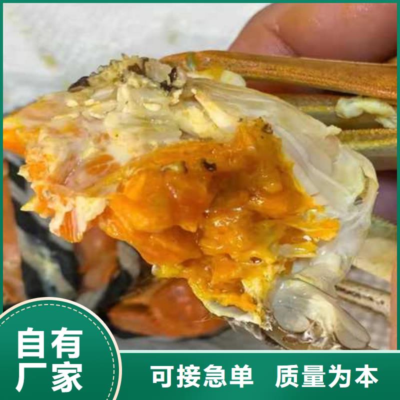 莲花岛阳澄湖大闸蟹哪家比较正宗