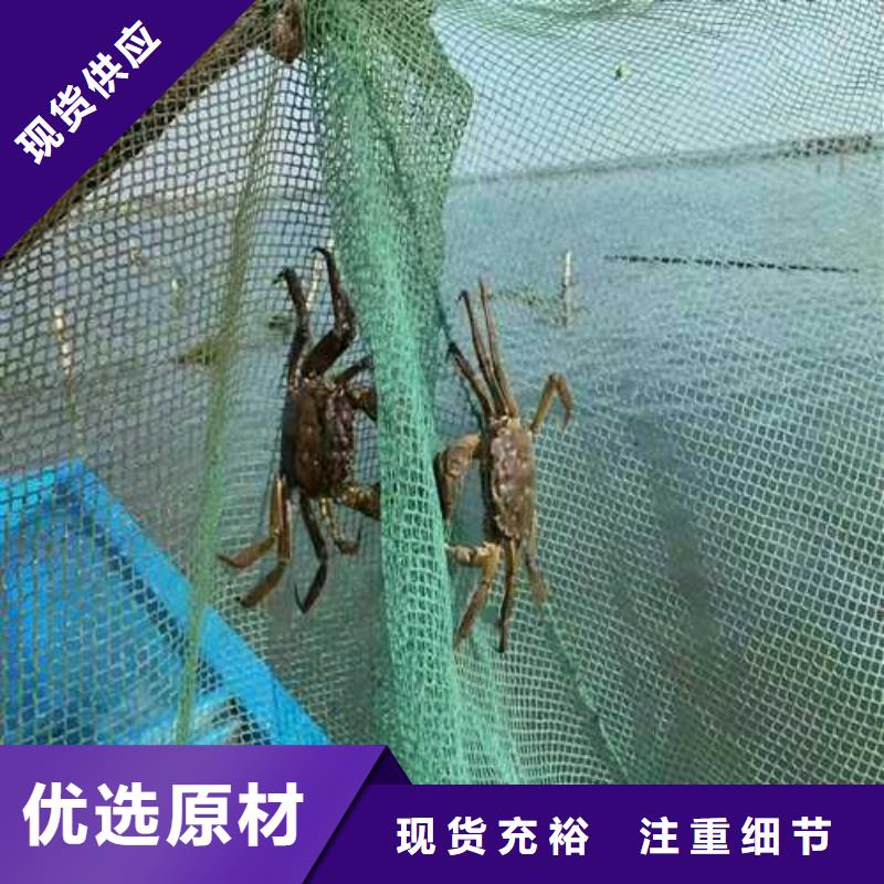 苏州阳澄湖大闸蟹价格