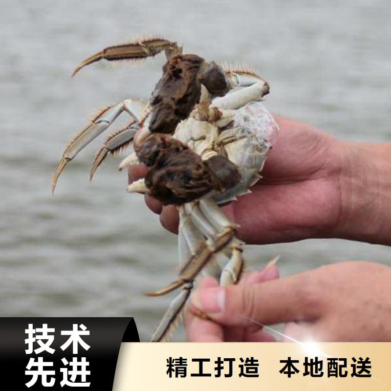 阳澄湖蟹哪里正宗好吃苏州这里好