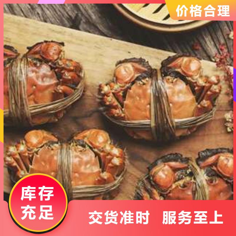 越城【当地】蟹阳澄湖大闸蟹几月份最好吃源头厂源头货