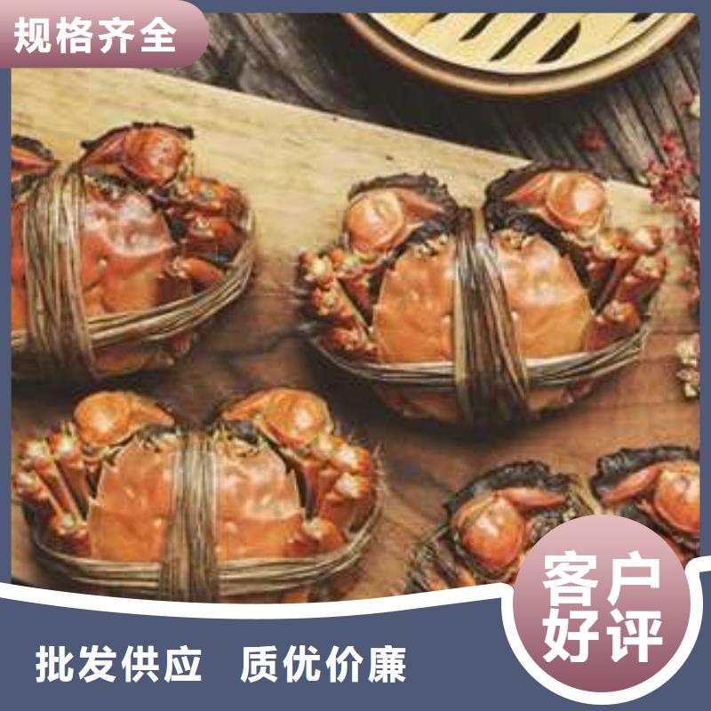 樟木头镇 本地 蟹最近的阳澄湖大闸蟹销售点真正让利给买家