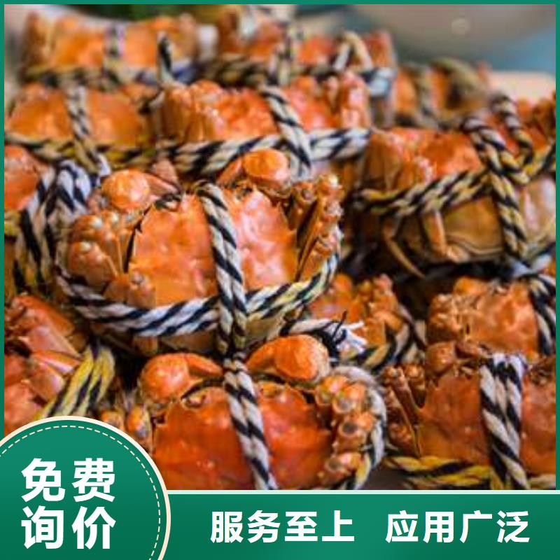 《穆棱》【当地】蟹阳澄湖大闸蟹到哪里买性能稳定