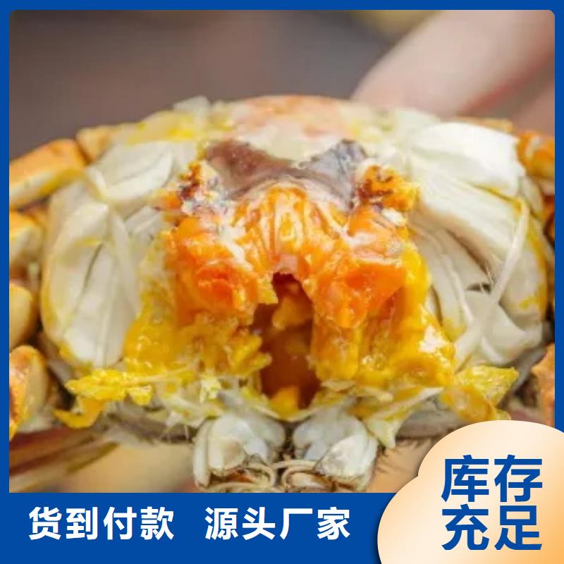 《洪洞》 当地 蟹阳澄湖大闸蟹哪个品牌正宗质优价廉
