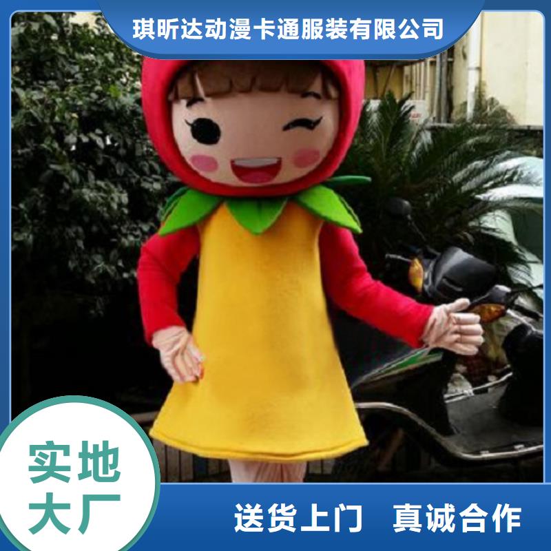 卡通-卡通人偶服装定制玩偶服定做制作厂家应用领域