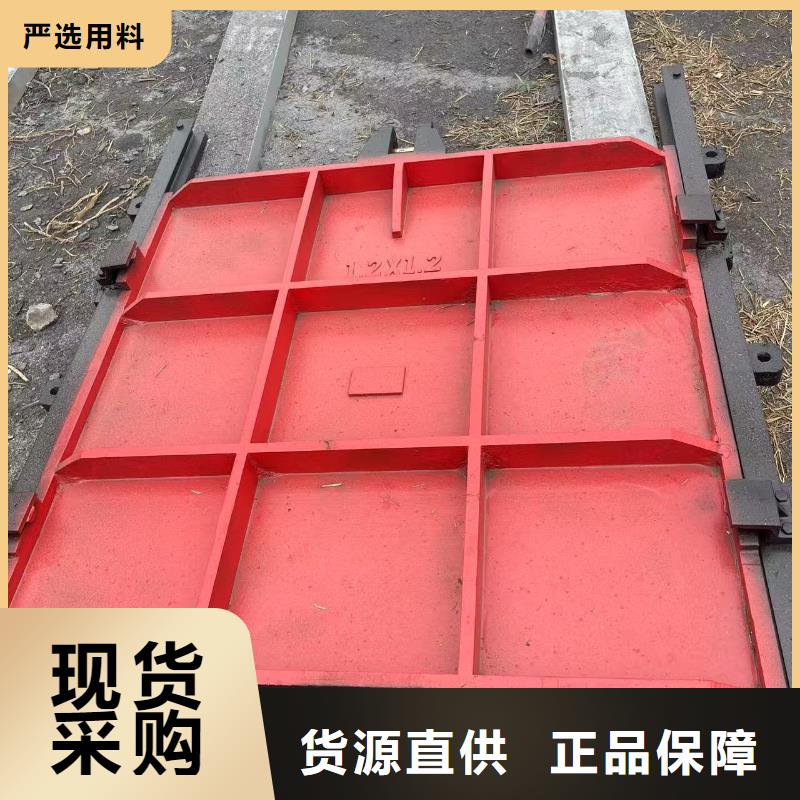 铸铁镶铜闸门-闸门启闭器精益求精