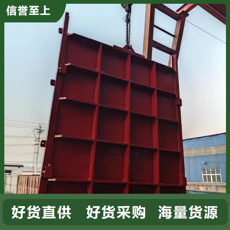 启闭机闸门-闸门启闭器服务贴心